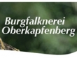 logo Burgfalknerei Oberkapfenberg