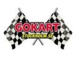 logo Gokart Stockholm