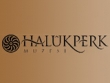 logo Haluk Perk Müzesi