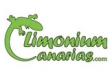logo Limonium Canarias