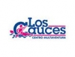 logo Los Cauces Centro Multiaventura
