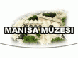 logo Manisa Müzesi