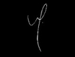 logo Mathias Dahlgren