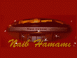 logo Naib Hamamı