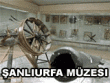 logo Şanlıurfa Müzesi