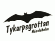 logo Tykarpsgrottan