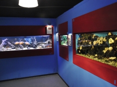 Aquarium Leerdam