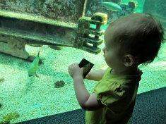 Aquarium Du Val-de-Loire