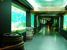 Aquarium Du Val-de-Loire France