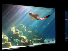 Aquarium Wilhelmshaven