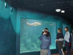 Aquarium Wilhelmshaven