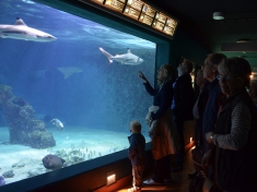 Aquarium Wilhelmshaven Deutschland