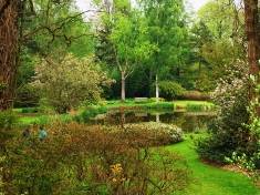 Tuin Kalmthout