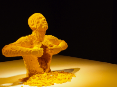 The Art Of The Brick