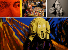 The Art Of The Brick Nederland