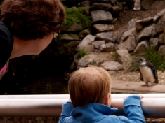 Burgers Zoo Niederlande