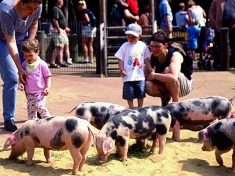 Dierentuin Nordhorn