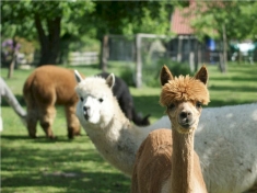 Freizeitpark Ostrittrum