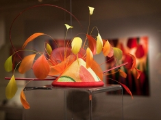 Museum Lisse