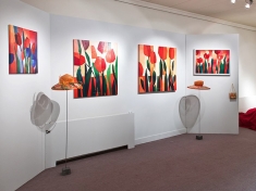 Museum De Zwarte Tulp Nederland