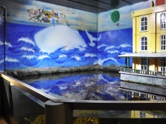 Muzee Aquarium Delfzijl