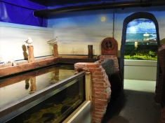 Aquarium Delfzijl