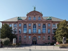 Naturmuseum Senckenberg