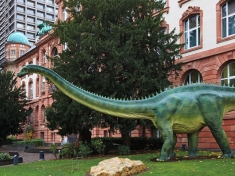 Naturmuseum Senckenberg Deutschland