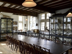 Natuurhistorisch Museum Maastricht Nederland