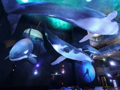 Ozeaneum Deutschland