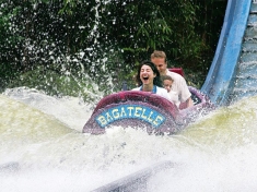 Bagatelle