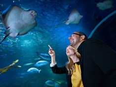 SEA LIFE Berlin