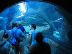 SEA LIFE Gardaland