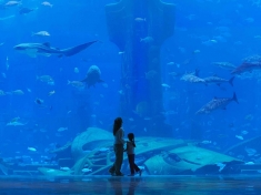 SEA LIFE Gardaland Italië