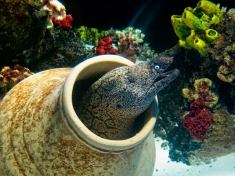 SEA LIFE Konstanz