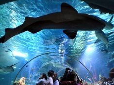 Aquarium Konstanz (stad)