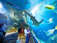 SEA LIFE Konstanz Deutschland