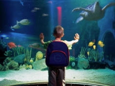 SEA LIFE Scheveningen