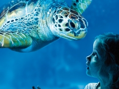 SEA LIFE Scheveningen Niederlande