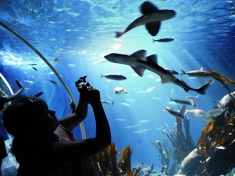 SEA LIFE Speyer
