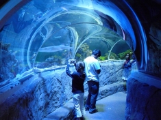 Aquarium Speyer