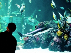 SEA LIFE Timmendorfer Strand Deutschland