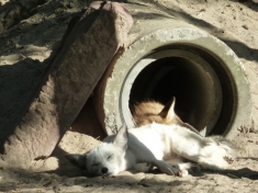 Tier- und Freizeitpark Germendorf