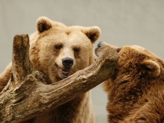 Tierpark Moenchengladbach