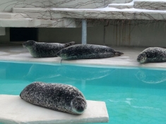 Zoo Mönchengladbach