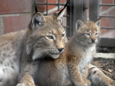 Tierpark Moenchengladbach Deutschland