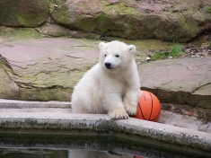 Zoo Nürnberg