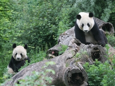 Tiergarten Schönbrunn