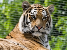Zoo Wenen