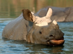 Tierpark Berlin